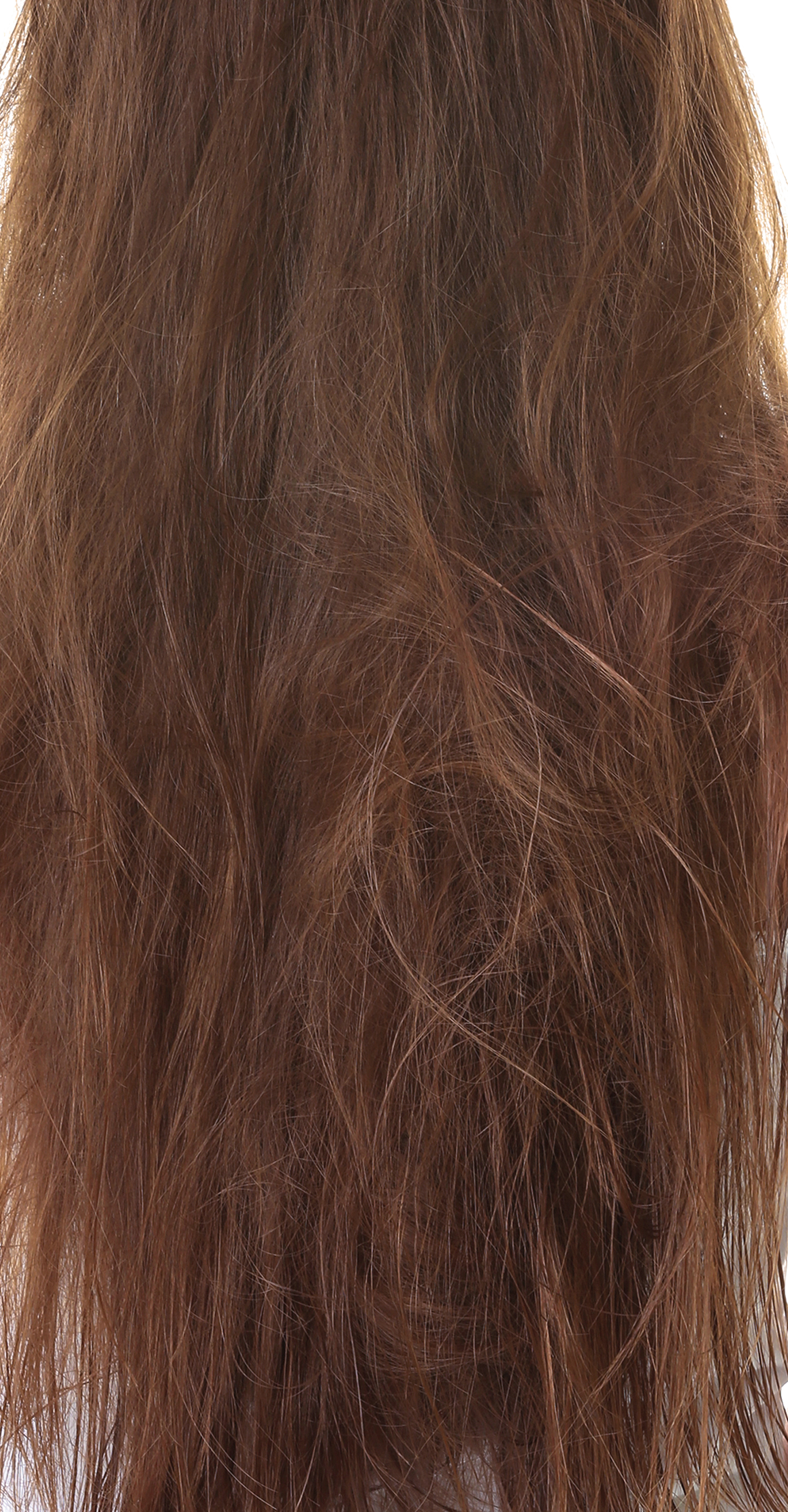 Describes the appearance of the image